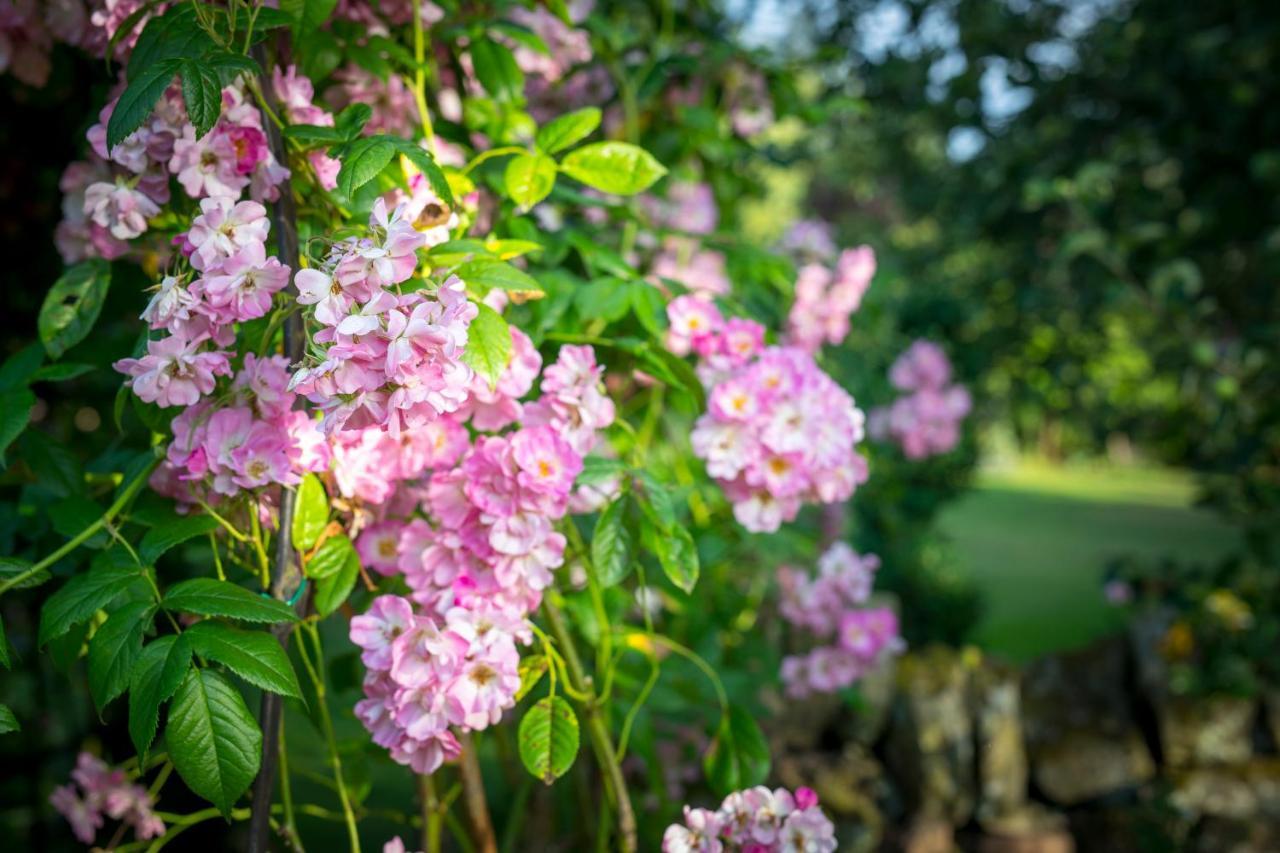 Middle Cottage Southlands Farm Gunnerton المظهر الخارجي الصورة