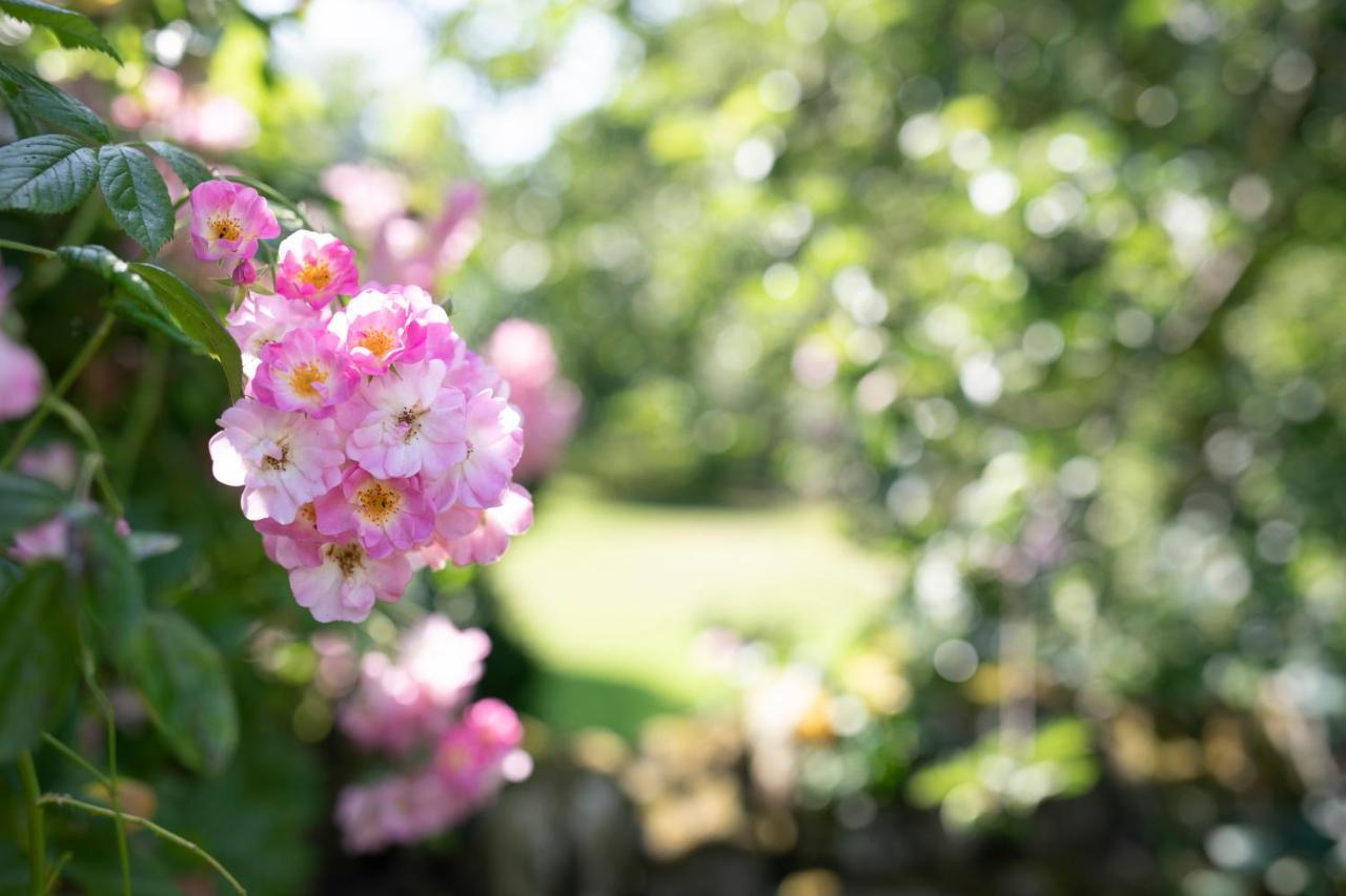 Middle Cottage Southlands Farm Gunnerton المظهر الخارجي الصورة